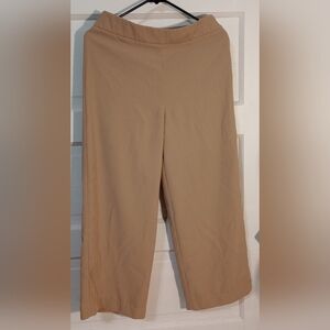 Worthington Ankle Length Pants in Tan